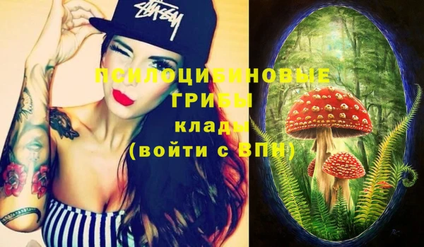 сатива Балахна
