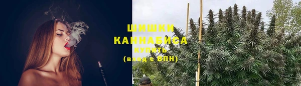 сатива Балабаново