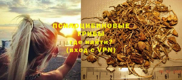прущая мука Арсеньев