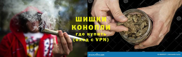 сатива Балахна
