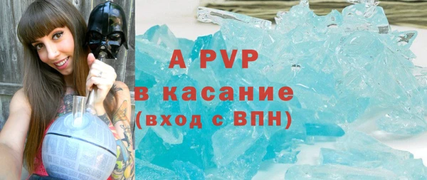 сатива Балахна