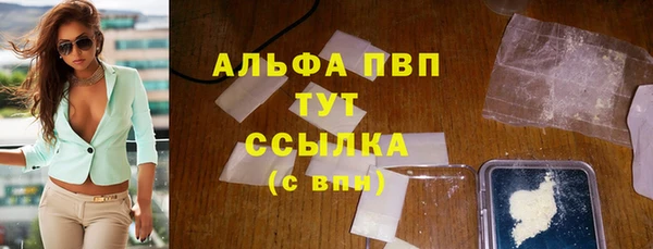 сатива Балахна