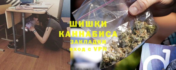 сатива Балахна
