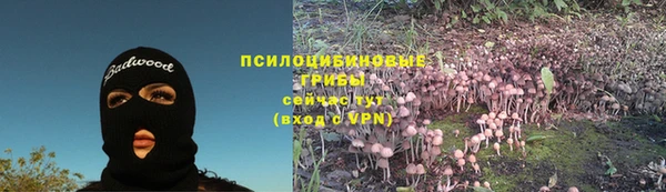 молекула духа Белокуриха